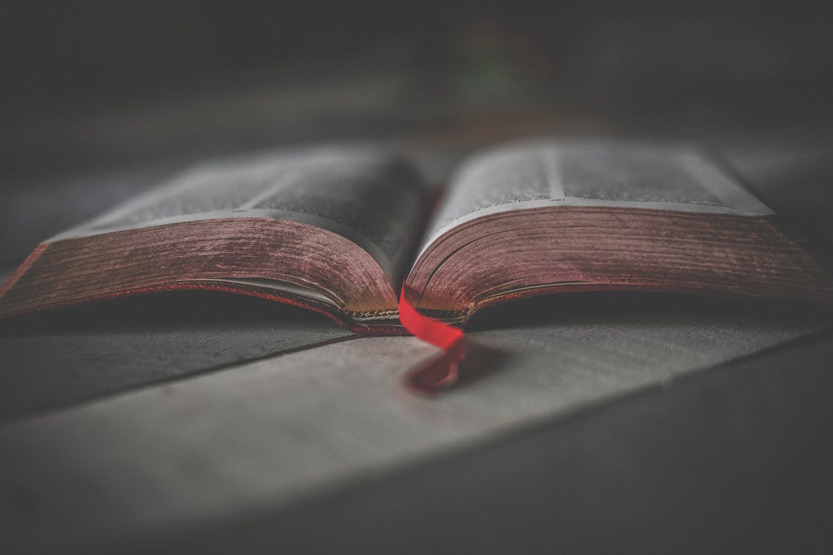 Open Bible with phone camera scanning a verse